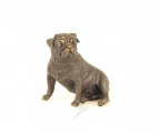 Pug bronze statue