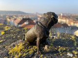 Pug bronze statue