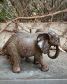 elefant with calf
